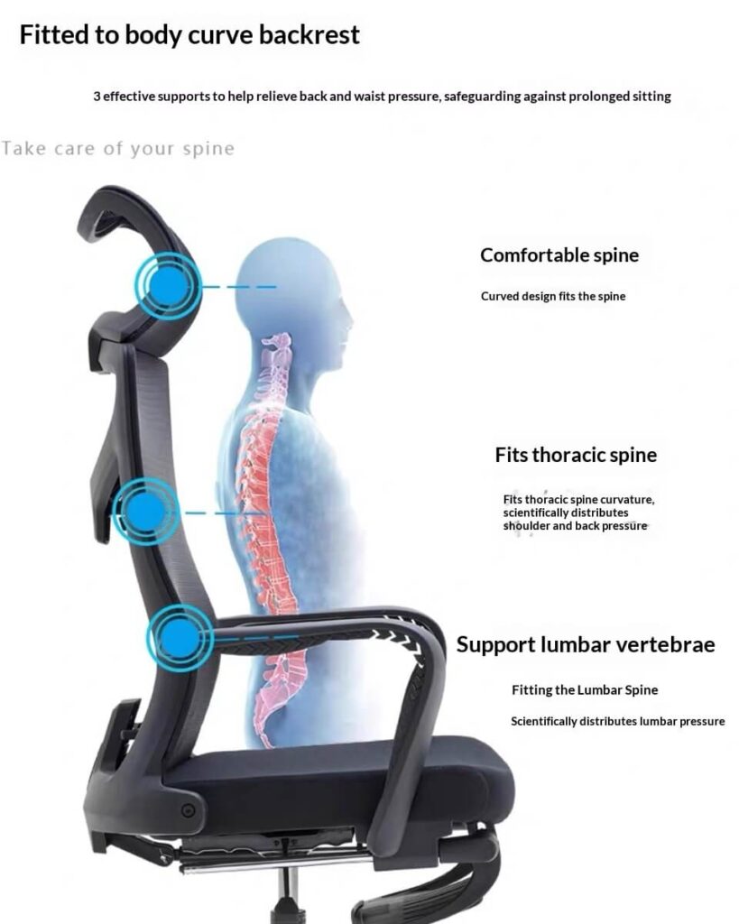 Body Curve-Fitted Backrest Ergonomic Office Chair - 3-Point Spine Support for Corporate Employees