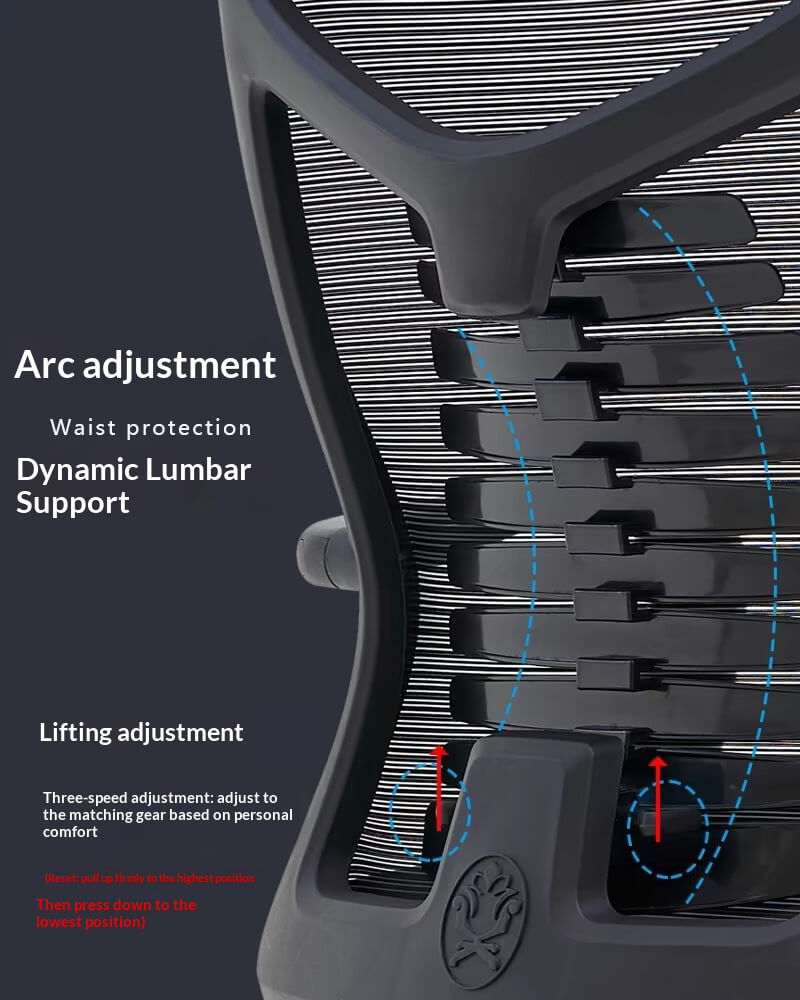 3-Speed Lifting + Arc Lumbar Support Ergonomic Office Chair - Dynamic Waist Protection