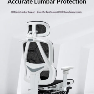 Uranzen T206 4-Way Adjustable Lumbar Support Ergonomic Office Chair - 3D Bionic Lumbar 10D Armrest for Corporate Precise Back Protection