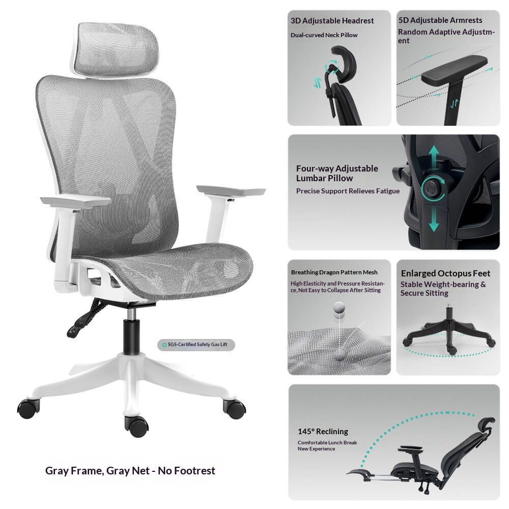 Gray Frame Gray Mesh Ergonomic Office Chair (No Footrest) - 3D Headrest 5D Armrest 4-Way Lumbar for Corporate Bulk Purchase