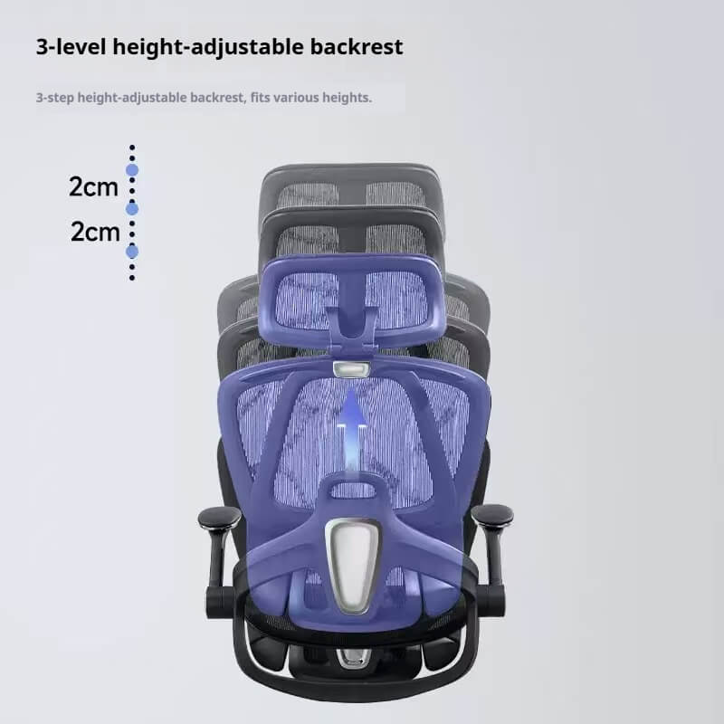 3-Level Height-Adjustable Backrest Ergonomic Office Chair - 2cm Per Step for Diverse Corporate Employee Heights